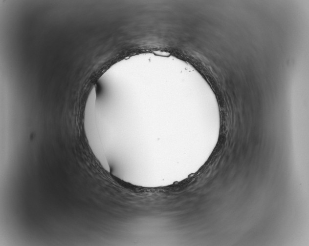 X0000094321157200711301202