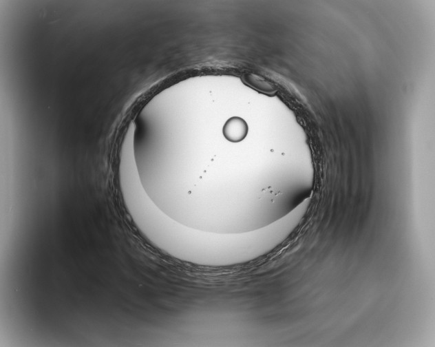 X0000094321160200711301202