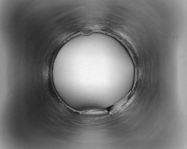 X0000094321161200711301202