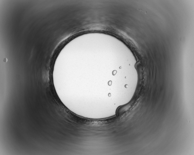 X0000094321166200711301202