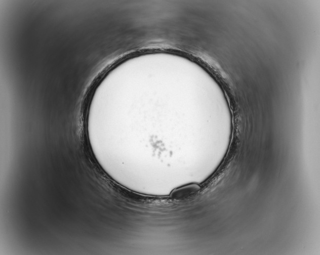 X0000094321167200711301202