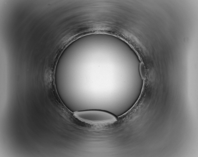 X0000094321169200711301202