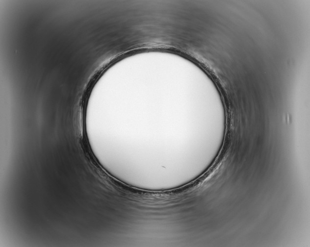 X0000094321171200711301202