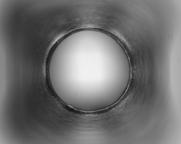 X0000094321173200711301202