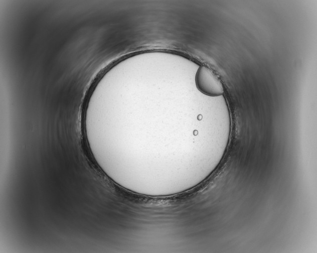 X0000094321174200711301202