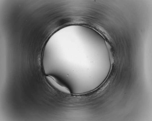 X0000094321177200711301202