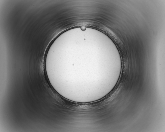 X0000094321178200711301202