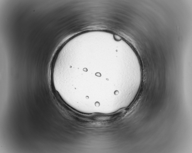X0000094321179200711301202