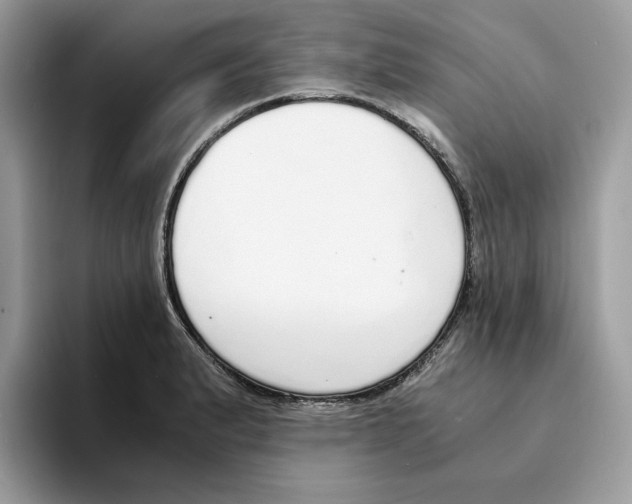 X0000094321183200711301202