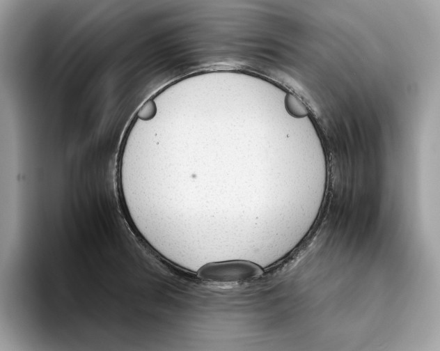 X0000094321186200711301202