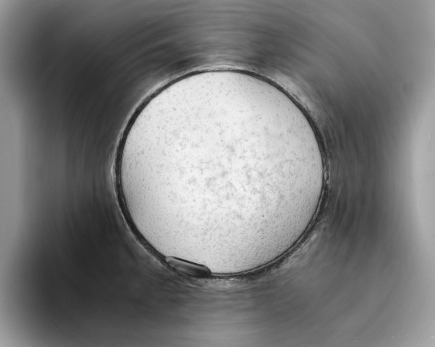 X0000094321189200711301202