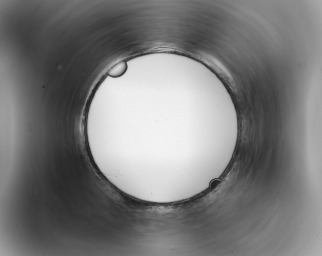X0000094321190200711301202