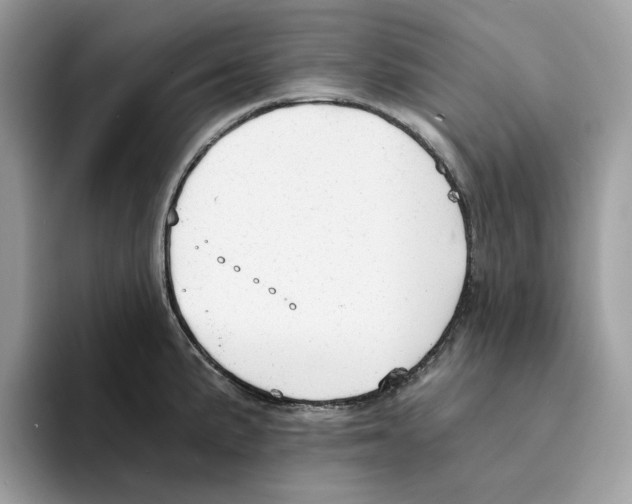X0000094321191200711301202