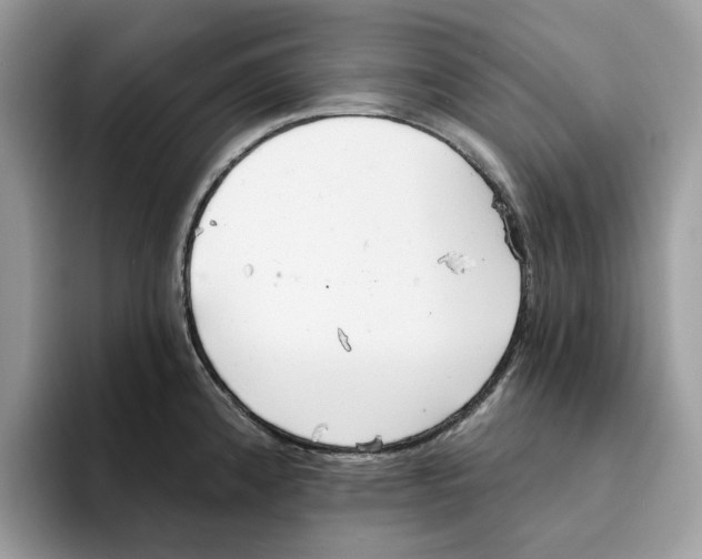 X0000094321192200711301202