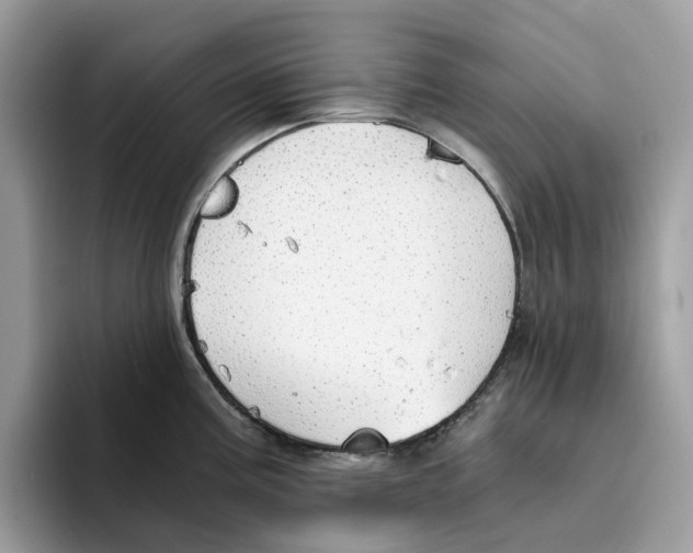 X0000094321195200711301202