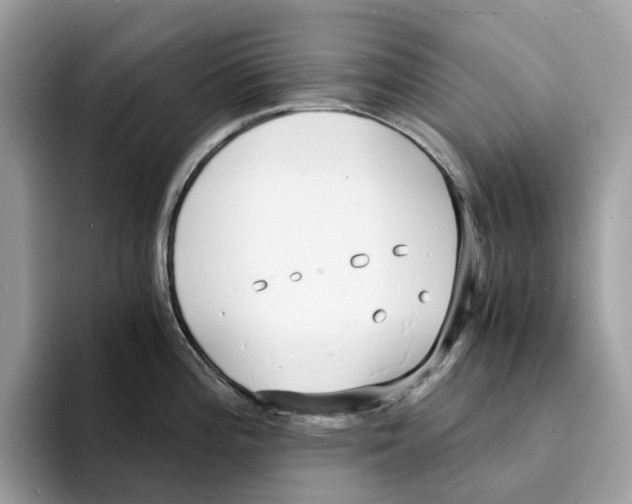 X0000094321196200711301202