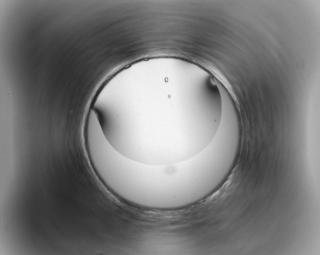 X0000094321197200711301202