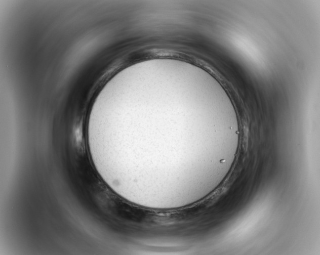 X0000094321198200711301202