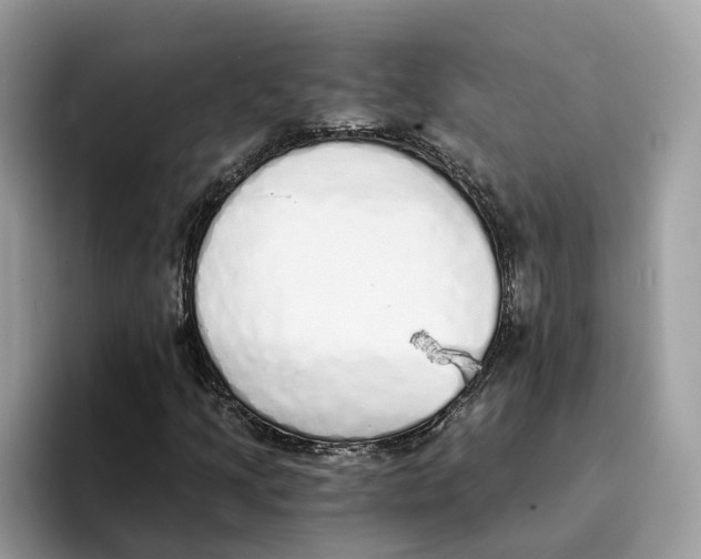 X0000094321205200711301201