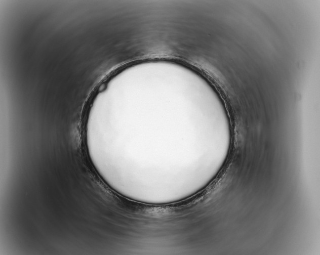 X0000094321212200711301201