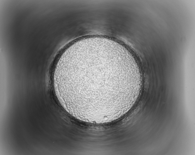 X0000094321215200711301201