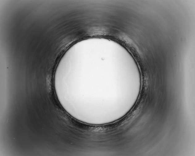 X0000094321217200711301201