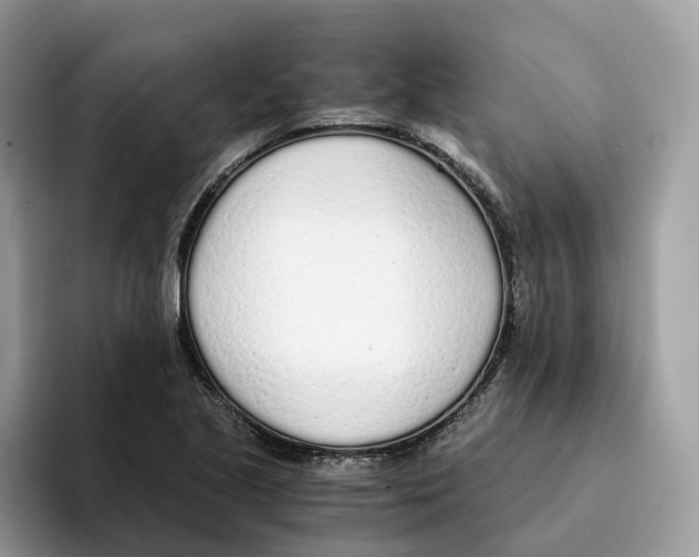X0000094321221200711301202