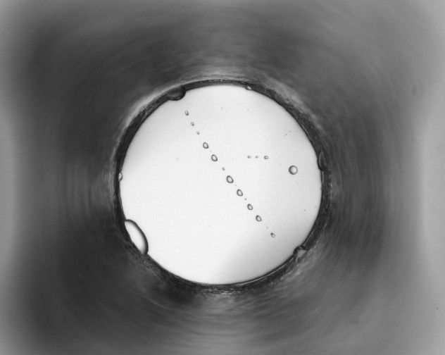 X0000094321222200711301202