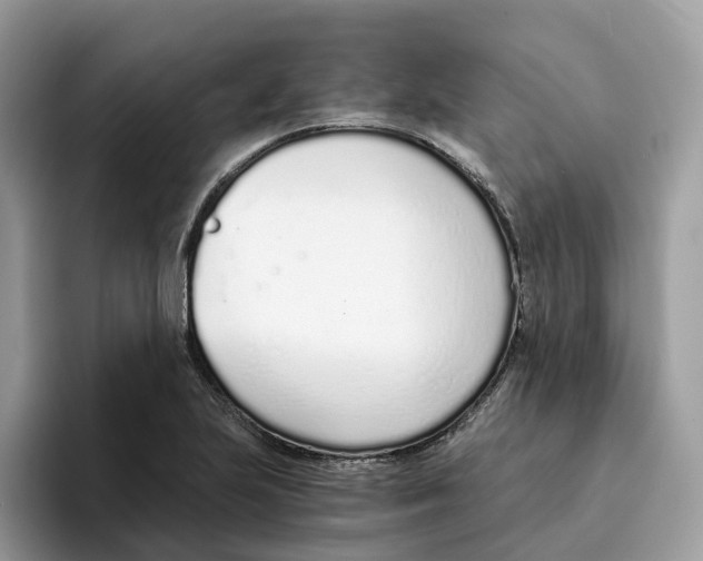 X0000094321223200711301202