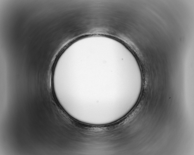 X0000094321224200711301202