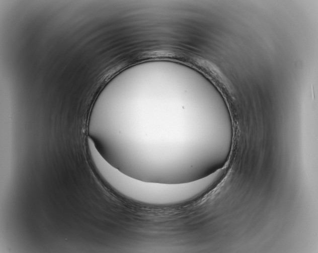 X0000094321225200711301202