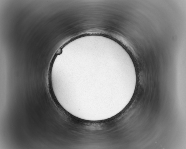 X0000094321229200711301202