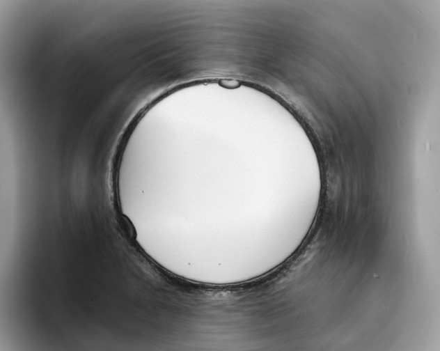 X0000094321230200711301202