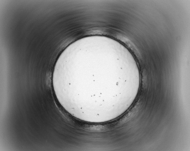 X0000094321233200711301202