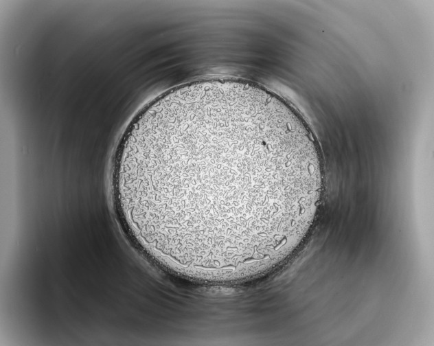 X0000094321235200711301202