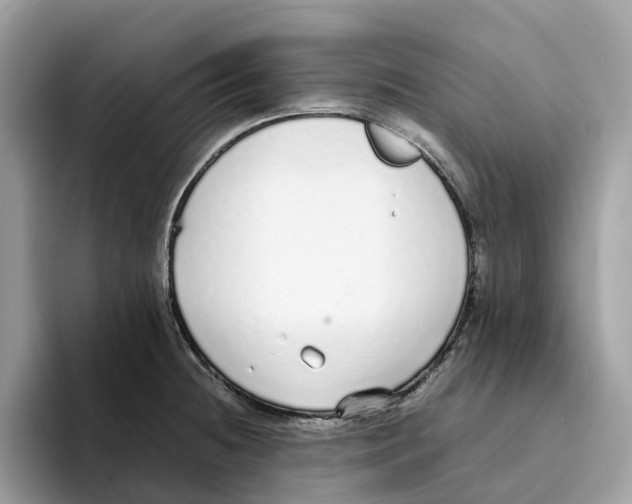 X0000094321236200711301202