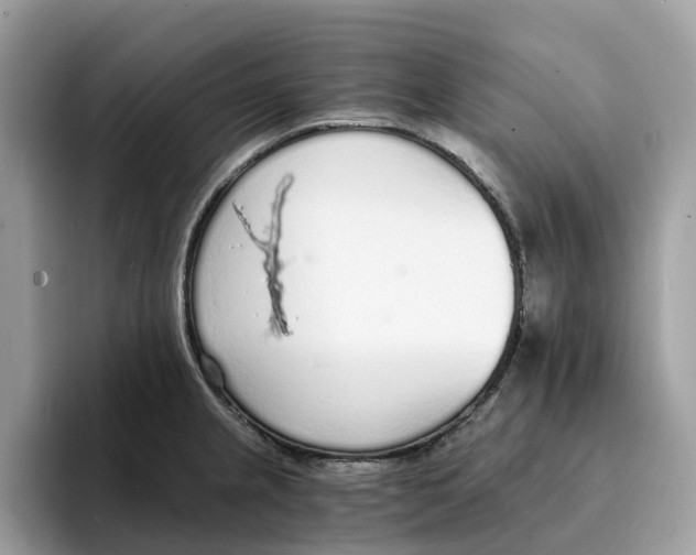 X0000094321237200711301202