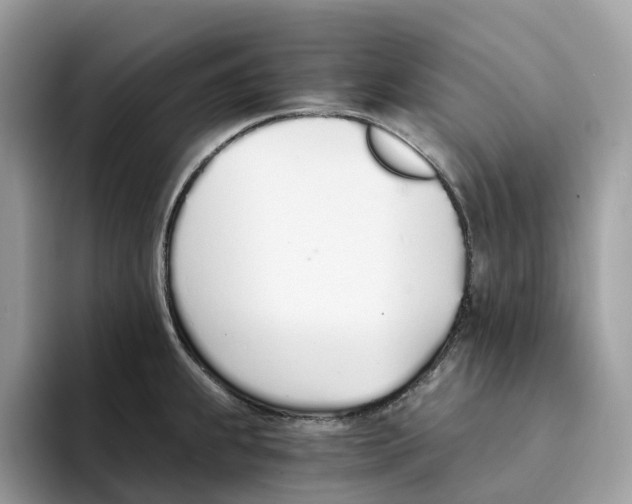 X0000094321239200711301202