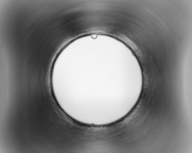 X0000094321240200711301202