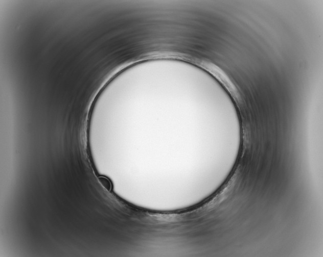X0000094321244200711301202