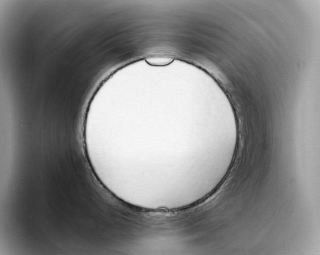 X0000094321248200711301202
