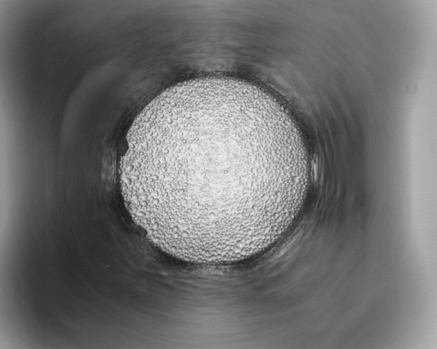 X0000094321251200711301201