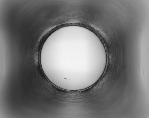 X0000094321262200711301201