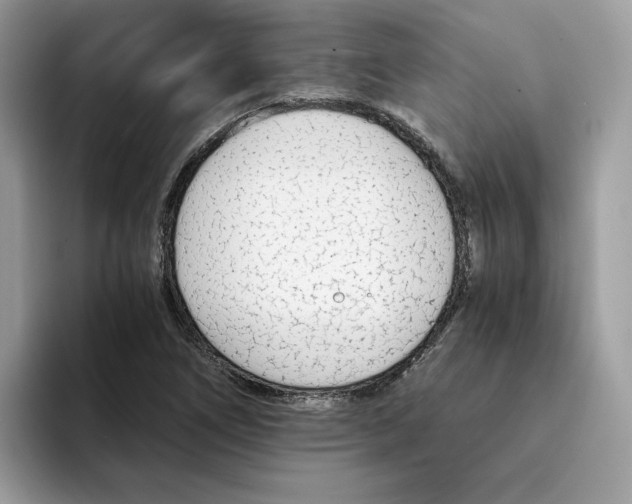 X0000094321266200711301201
