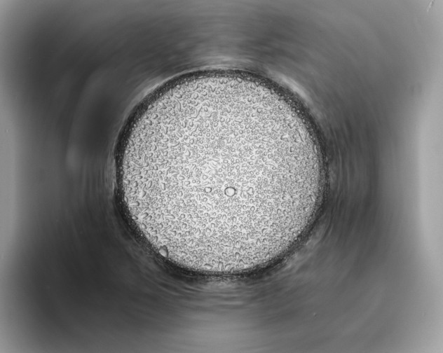 X0000094321267200711301201