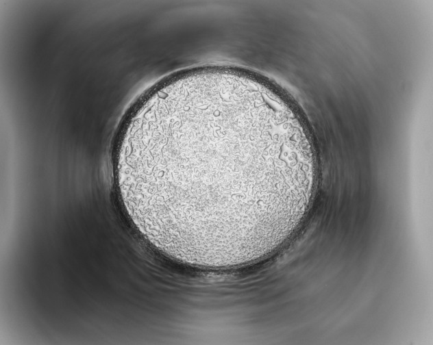 X0000094321271200711301201