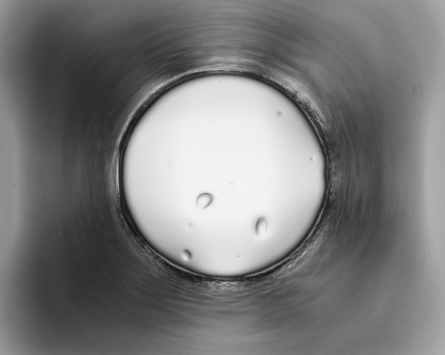 X0000094321275200711301201