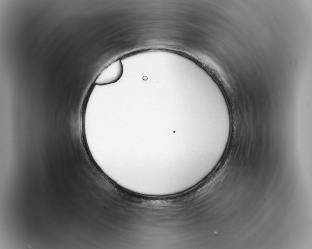 X0000094321280200711301201