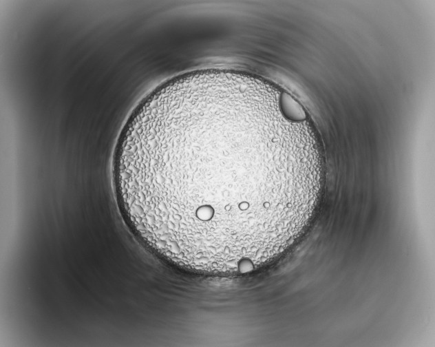X0000094321283200711301201