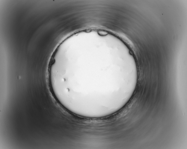 X0000094321287200711301201